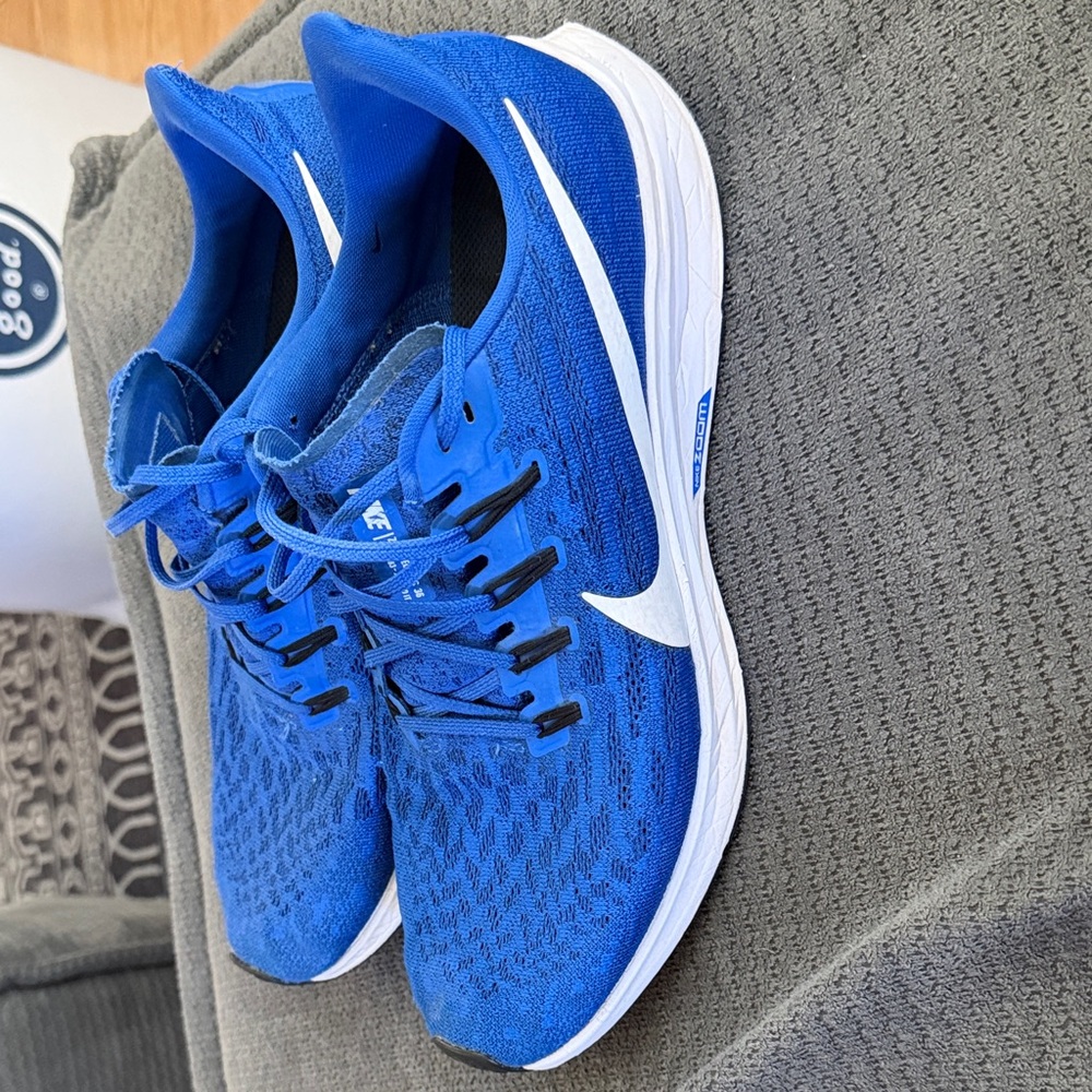 Nike Pegasus - image 1